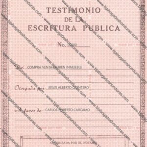 testimonio de escritura pública